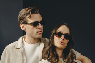 Sunglasses Collection