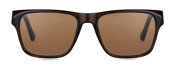 Winston Dark Havana with | Brown Sunglasses Lenses FINLAY